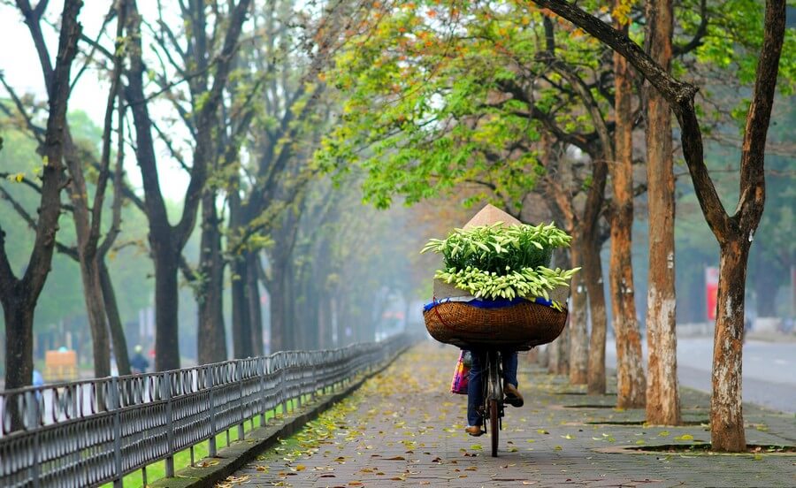 Springtime in Hanoi.
