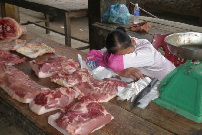 Local butcher taking a nap, Cao Bang